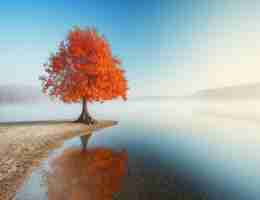 kubernetes 搭‌建﻿